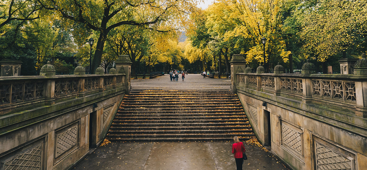 Concrete stairs in Central Park